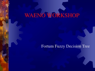 WAENO WORKSHOP