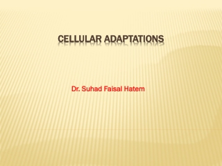 CELLULAR ADAPTATIONS