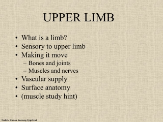 UPPER LIMB