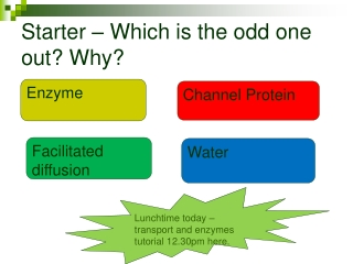 Starter – Which is the odd one out? Why?