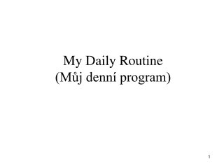 My Daily Routine (Můj denní program)