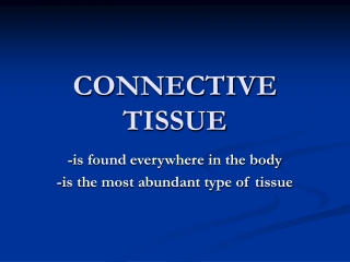 CONNECTIVE TISSUE