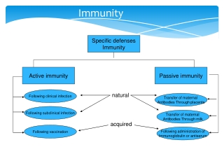 Immunity