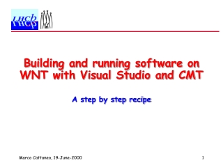 Building and running software on WNT with Visual Studio and CMT