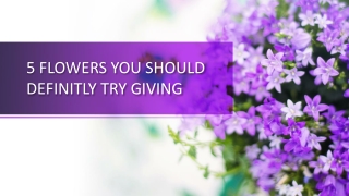 5 Flowers you need to give to your loved ones