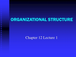 ORGANIZATIONAL STRUCTURE