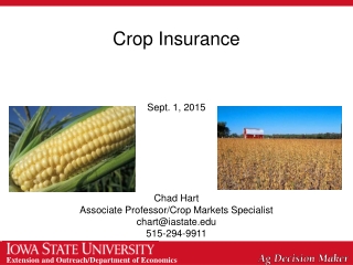 Crop Insurance