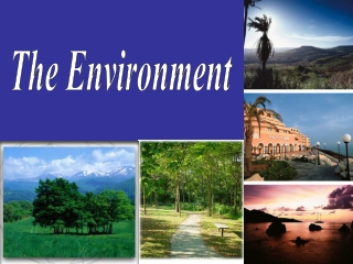 The Environment