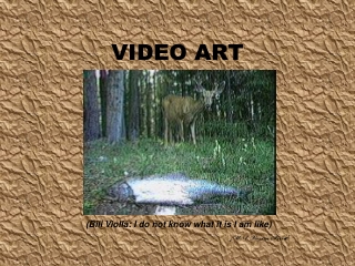 VIDEO ART