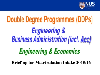 Double Degree Programmes (DDPs)