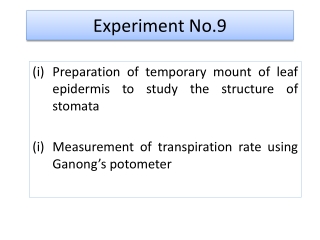 Experiment No.9