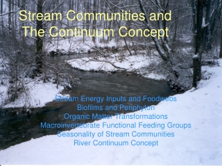 Stream Communities and The Continuum Concept