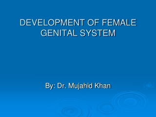 DEVELOPMENT OF FEMALE GENITAL SYSTEM