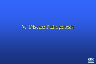 V. Disease Pathogenesis