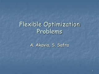 Flexible Optimization Problems