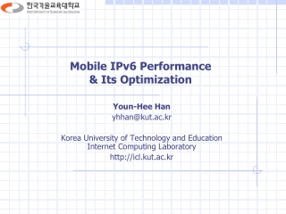 Mobile IPv6 Performance &amp; Its Optimization