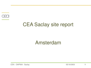 CEA Saclay site report Amsterdam