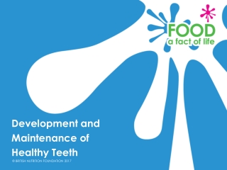 Development and Maintenance of Healthy Teeth