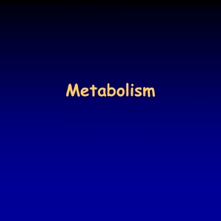 Metabolism