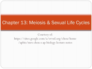 Chapter 13: Meiosis &amp; Sexual Life Cycles