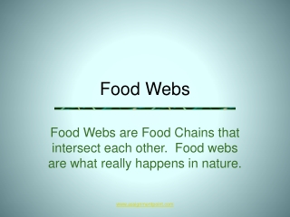 Food Webs