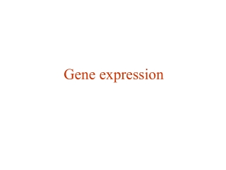 Gene expression