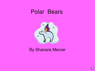 Polar Bears