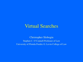 Virtual Searches