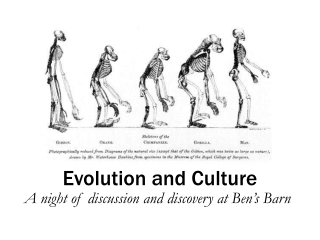 Evolution and Culture