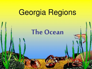 Georgia Regions