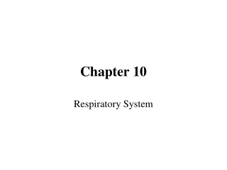 Chapter 10