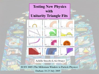 Testing New Physics with Unitarity Triangle Fits