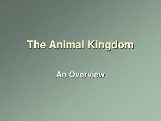 The Animal Kingdom