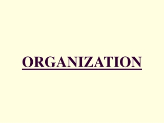 ORGANIZATION