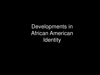 Developments in African American Identity