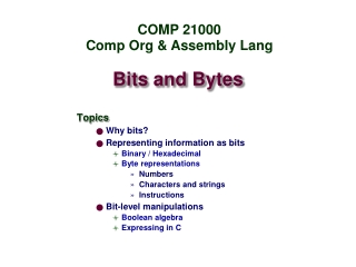 Bits and Bytes