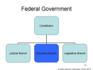 THE THREE BRANCHES OF GOVERNMENT