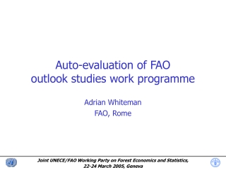 Auto-evaluation of FAO outlook studies work programme