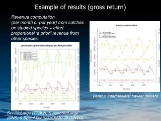 Example of results (gross return)