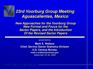 23rd Voorburg Group Meeting Aguascalientes, Mexico New Approaches for the Voorburg Group