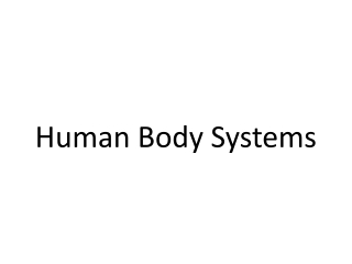 Human Body Systems