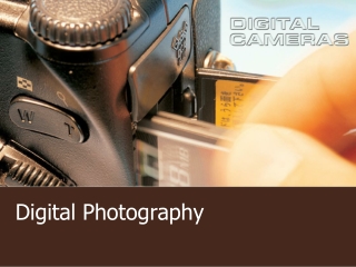 Digital Photography