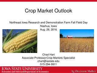 Crop Market Outlook