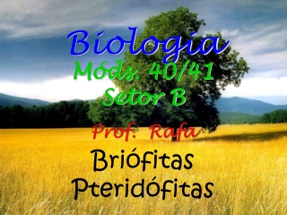 Briófitas Pteridófitas