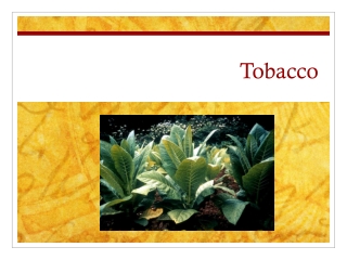 Tobacco