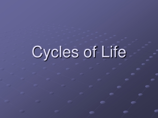 Cycles of Life