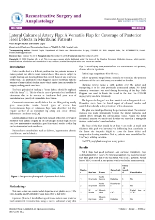 Lateral Calcaneal Artery Flap: A Versatile Flap for Coverage of Posterior Heel Defects in Moribund Patients