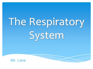 The Respiratory System