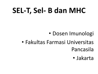 SEL-T, Sel- B dan MHC