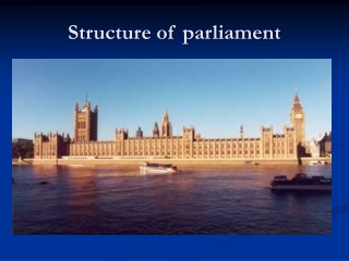 Structure of parliament